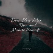 Deep Sleep Mix - Rain and Nature Sounds