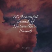 50 Beautiful Sounds of Nature: Rain Sounds