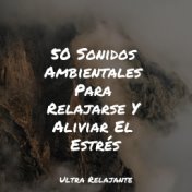 50 Sonidos Ambientales Para Relajarse Y Aliviar El Estrés