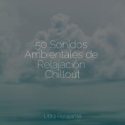 50 Sonidos Ambientales de Relajación Chillout