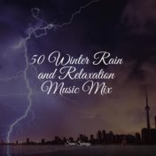 50 Winter Rain and Relaxation Music Mix