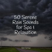 50 Serene Rain Sounds for Spa & Relaxation