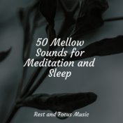 50 Mellow Sounds for Meditation and Sleep