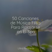 50 Canciones de Música FRía Para Relajarse en El Spa