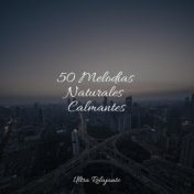 50 Melodías Naturales Calmantes