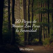 50 Piezas de Música Zen Para la Serenidad