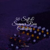 50 Soft & Summer Rain Collection