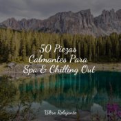 50 Piezas Calmantes Para Spa & Chilling Out