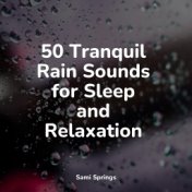 50 Tranquil Rain Sounds for Sleep and Relaxation