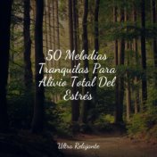 50 Melodías Tranquilas Para Alivio Total Del Estrés