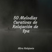 50 Melodías Curativas de Relajación de Spa