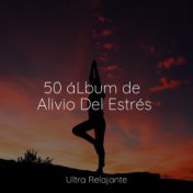 50 áLbum de Alivio Del Estrés