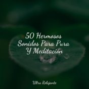 50 Hermosos Sonidos Para Pura Y Meditación