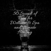 50 Sounds of Rain for Wellness & Spa and Ultimate Healing