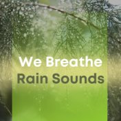 We Breathe Rain Sounds