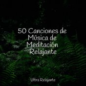 50 Canciones de Música de Meditación Relajante