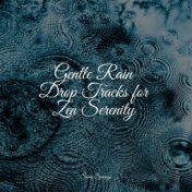 Gentle Rain Drop Tracks for Zen Serenity