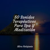 50 Sonidos Terapéuticos Para Spa Y Meditación