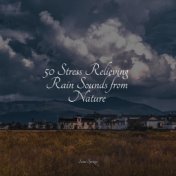 50 Stress Relieving Rain Sounds from Nature