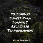 50 Sonidos Suaves Para Dormir Y Relajarse Tranquilamente