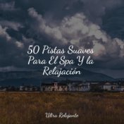 50 Pistas Suaves Para El Spa Y la Relajación