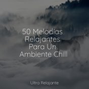 50 Melodías Relajantes Para Un Ambiente Chill