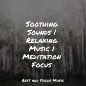 Soothing Sounds | Relaxing Music | Meditation Focus