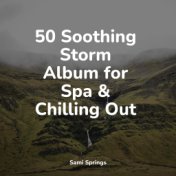 50 Soothing Storm Album for Spa & Chilling Out