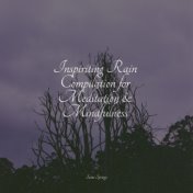 Inspiriting Rain Compilation for Meditation & Mindfulness