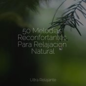 50 Melodías Reconfortantes Para Relajación Natural