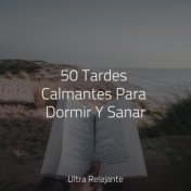 50 Tardes Calmantes Para Dormir Y Sanar