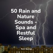 50 Rain and Nature Sounds - Spa and Restful Sleep