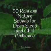 50 Rain and Nature Sounds for Deep Sleep and Chill Ambience
