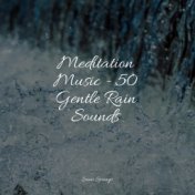 Meditation Music - 50 Gentle Rain Sounds
