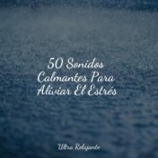 50 Sonidos Calmantes Para Aliviar El Estrés