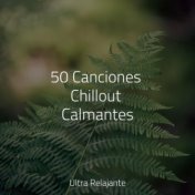 50 Canciones Chillout Calmantes