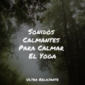 Sonidos Calmantes Para Calmar El Yoga