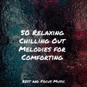 50 Relaxing Chilling Out Melodies for Comforting