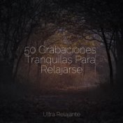 50 Grabaciones Tranquilas Para Relajarse