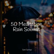 50 Ambient Rain Sounds for Spa and Meditation