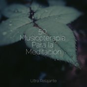 50 Musicoterapia Para la Meditación