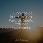 50 Sonidos de la Naturaleza Para Un Sueño Profundo Instantáneo