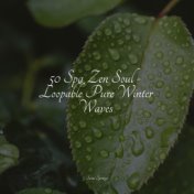50 Spa Zen Soul - Loopable Pure Winter Waves