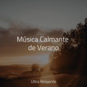 Música Calmante de Verano