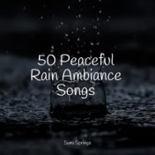 50 Peaceful Rain Ambiance Songs