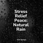 Stress Relief Peace: Natural Rain