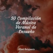 50 Compilación de Música Veranol de Ensueño