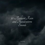 50 Ambient Rain and Thunderstorm Sounds