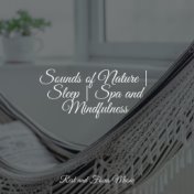 Sounds of Nature | Sleep | Spa and Mindfulness