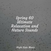 Spring 60 Ultimate Relaxation and Nature Sounds
